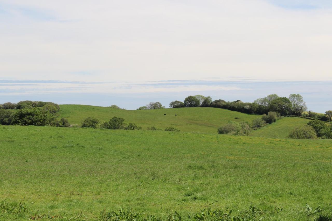 Knapp Farm Glamping Lodge 1 Corscombe Eksteriør bilde